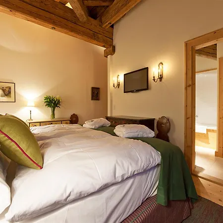 Apartment Juergen Modern Close To Ski